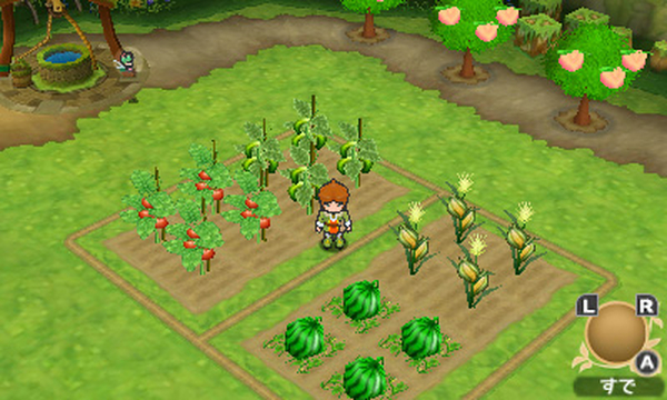 New Summertime Region in PoPoLoCrois Farm Story Detailed with Screenshots