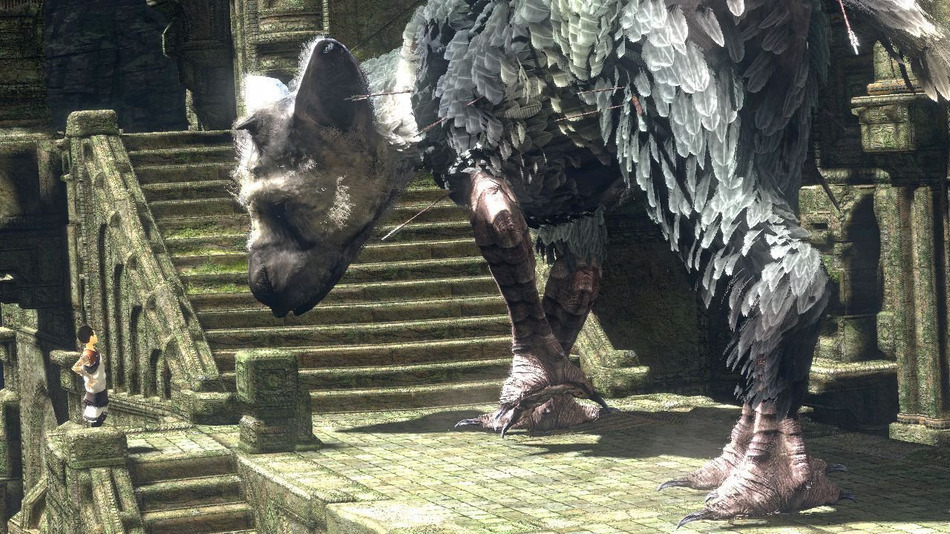Sony Probably Would Have Cancelled The Last Guardian if Fans Stopped Asking For It