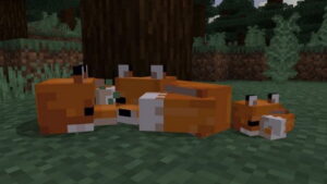 New Minecraft Update Adds Foxes, Character Creator, and More