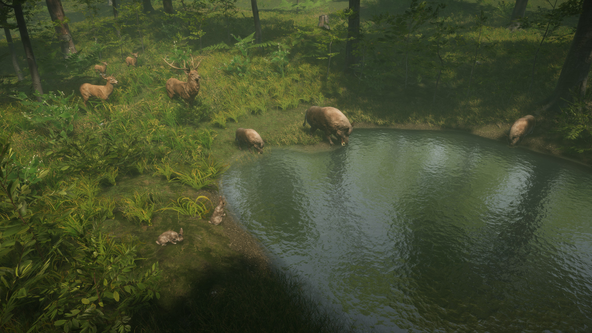 Animal Survival Sim Natural Instincts Announced for PC