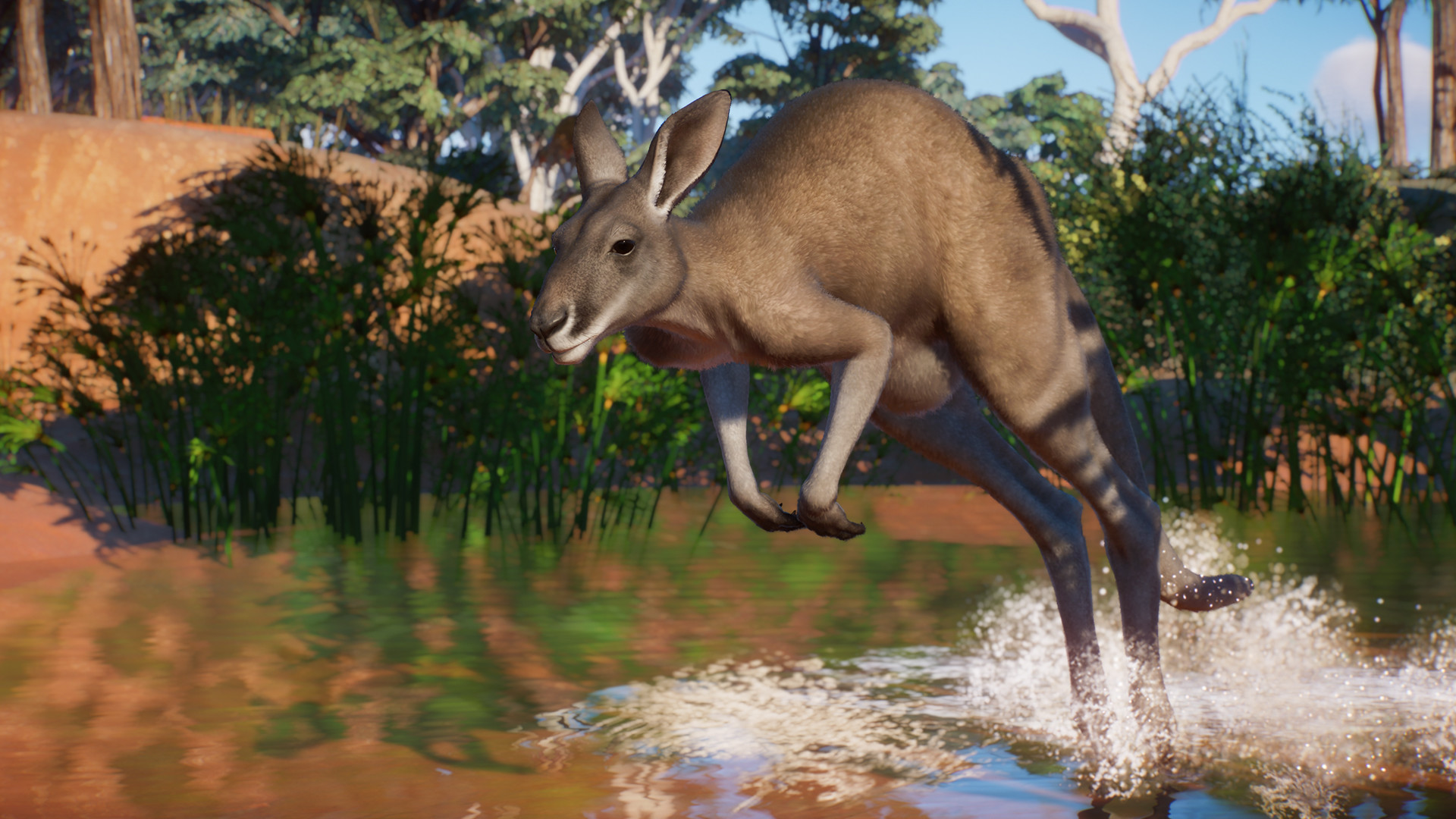 Planet Zoo: Australia Pack Releases August 25
