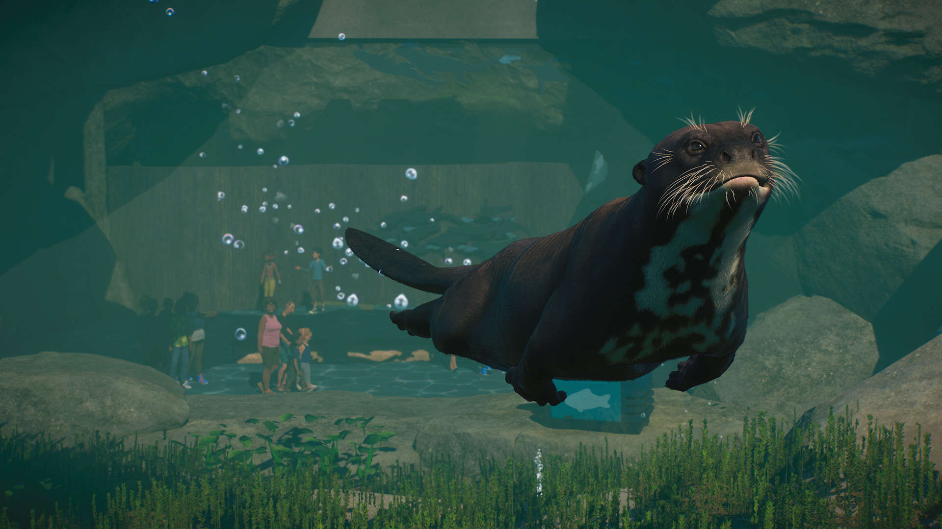 Planet Zoo: Aquatic Pack DLC Now Available