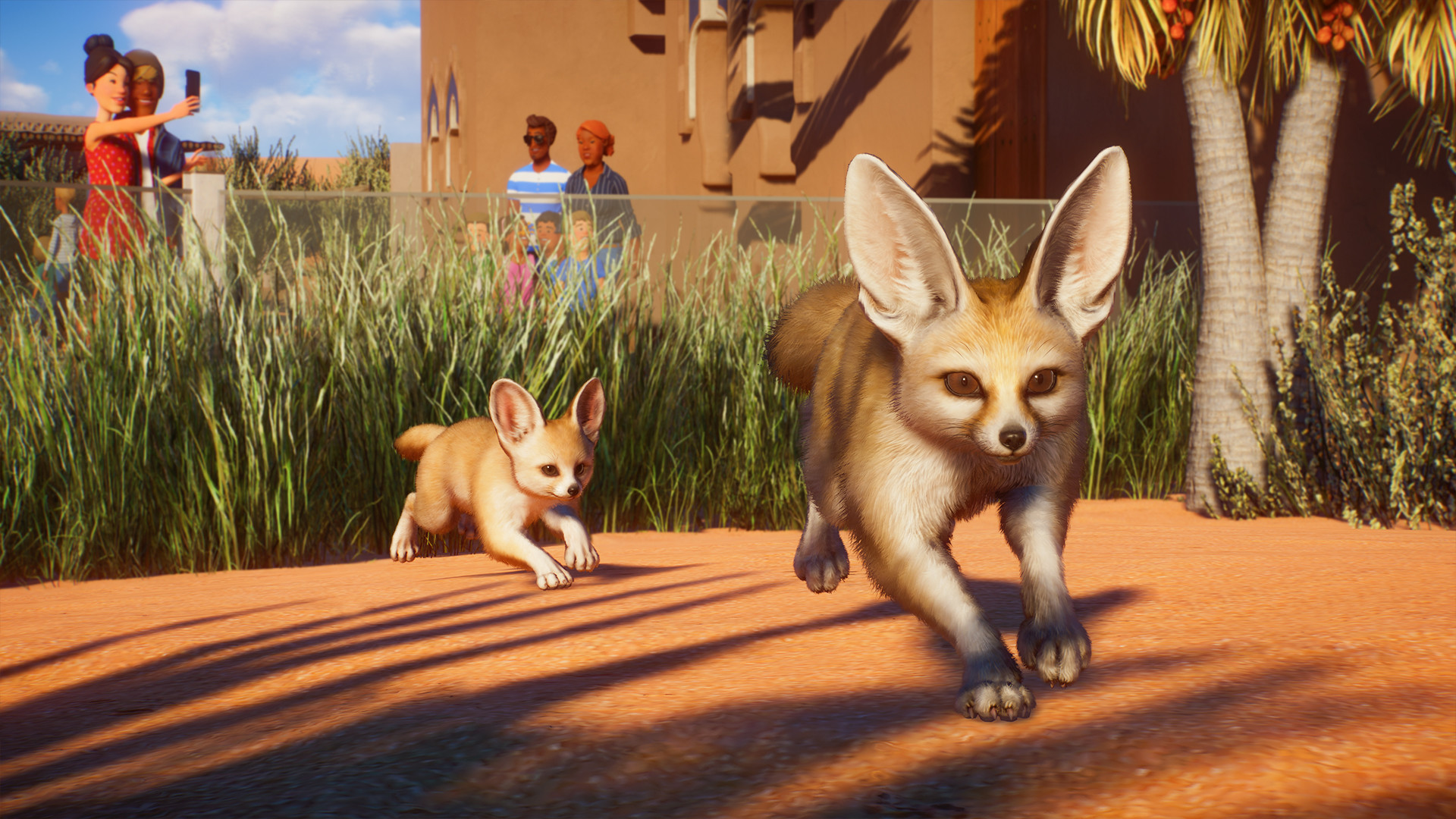 Planet Zoo: Africa Pack DLC, Update 1.6 Now Available