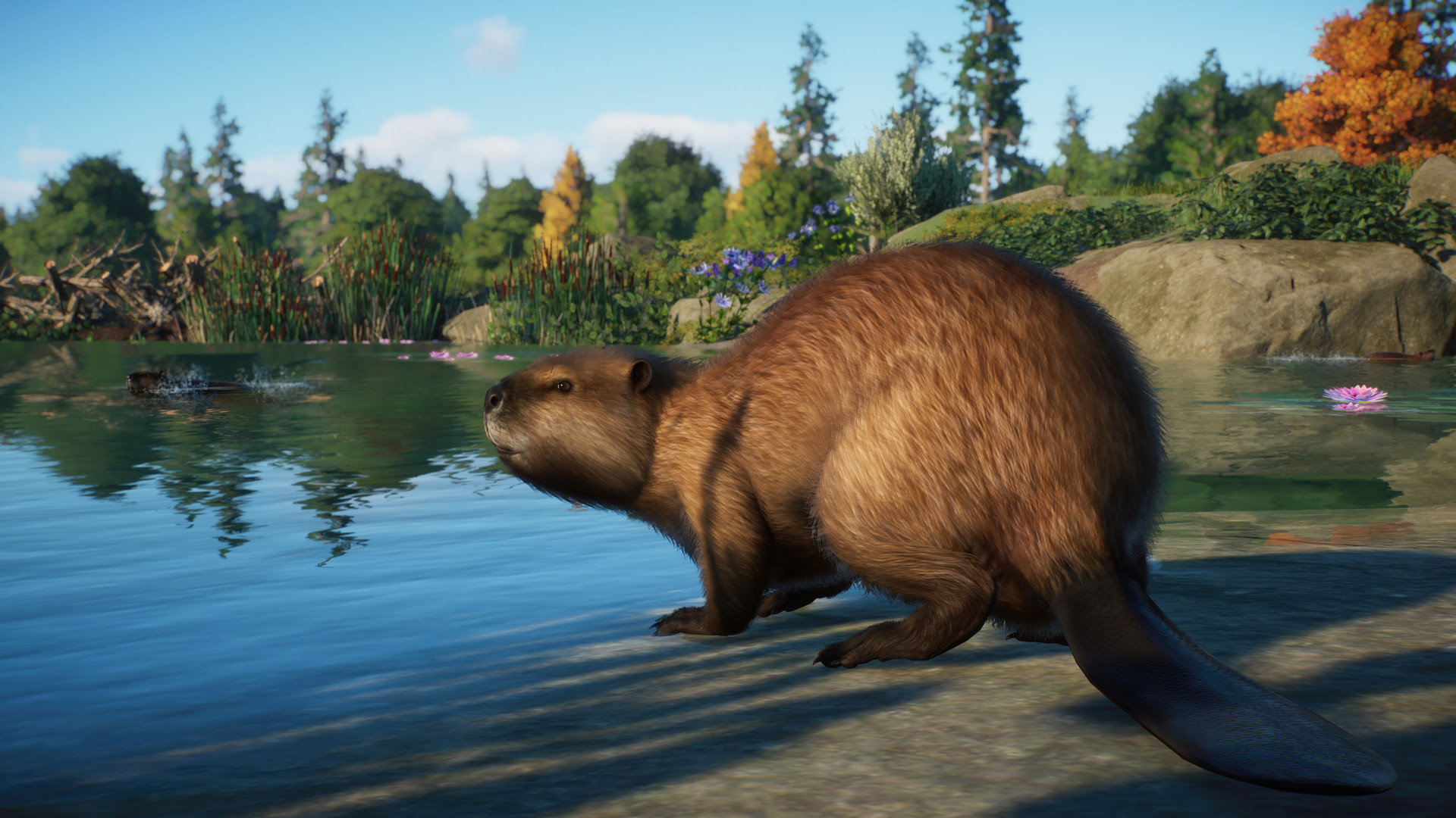 Planet Zoo: North America Animal Pack DLC Announced, Releases October 4