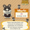 Animal Crossing Marlo