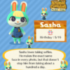 Animal Crossing Sasha