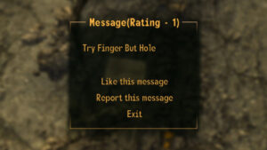 Fallout: New Vegas mod adds the Elden Ring message system