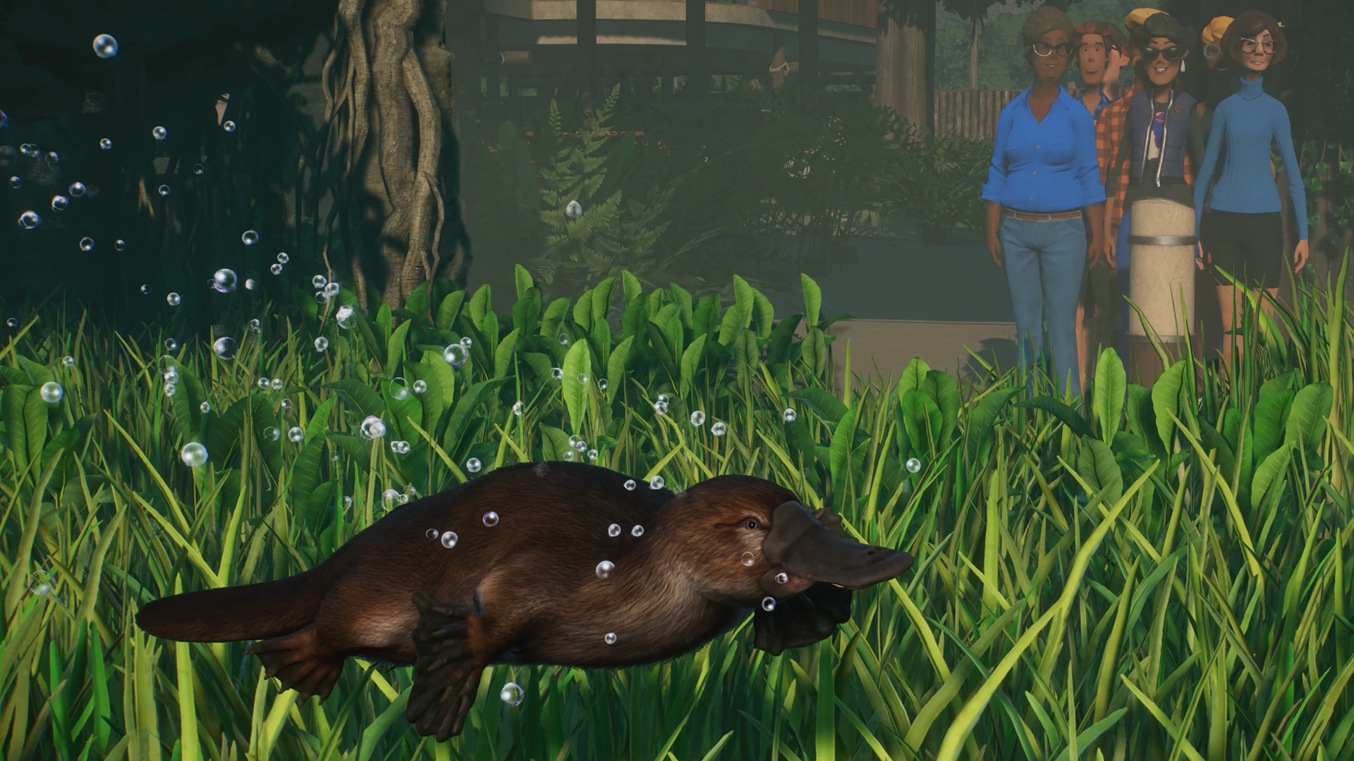 Planet Zoo: Wetlands Animal Pack DLC releases in April - Niche Gamer