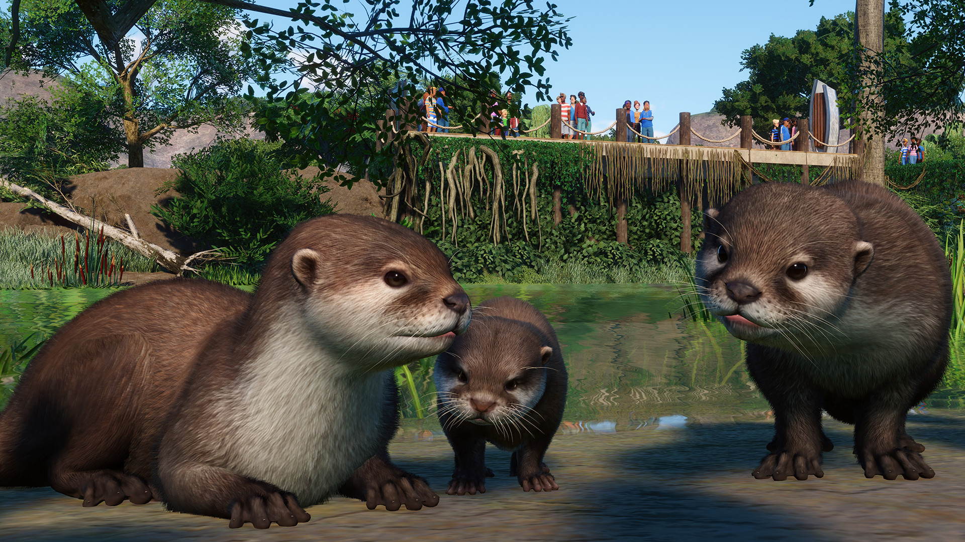 Planet Zoo: Wetlands Animal Pack DLC now available - Niche Gamer