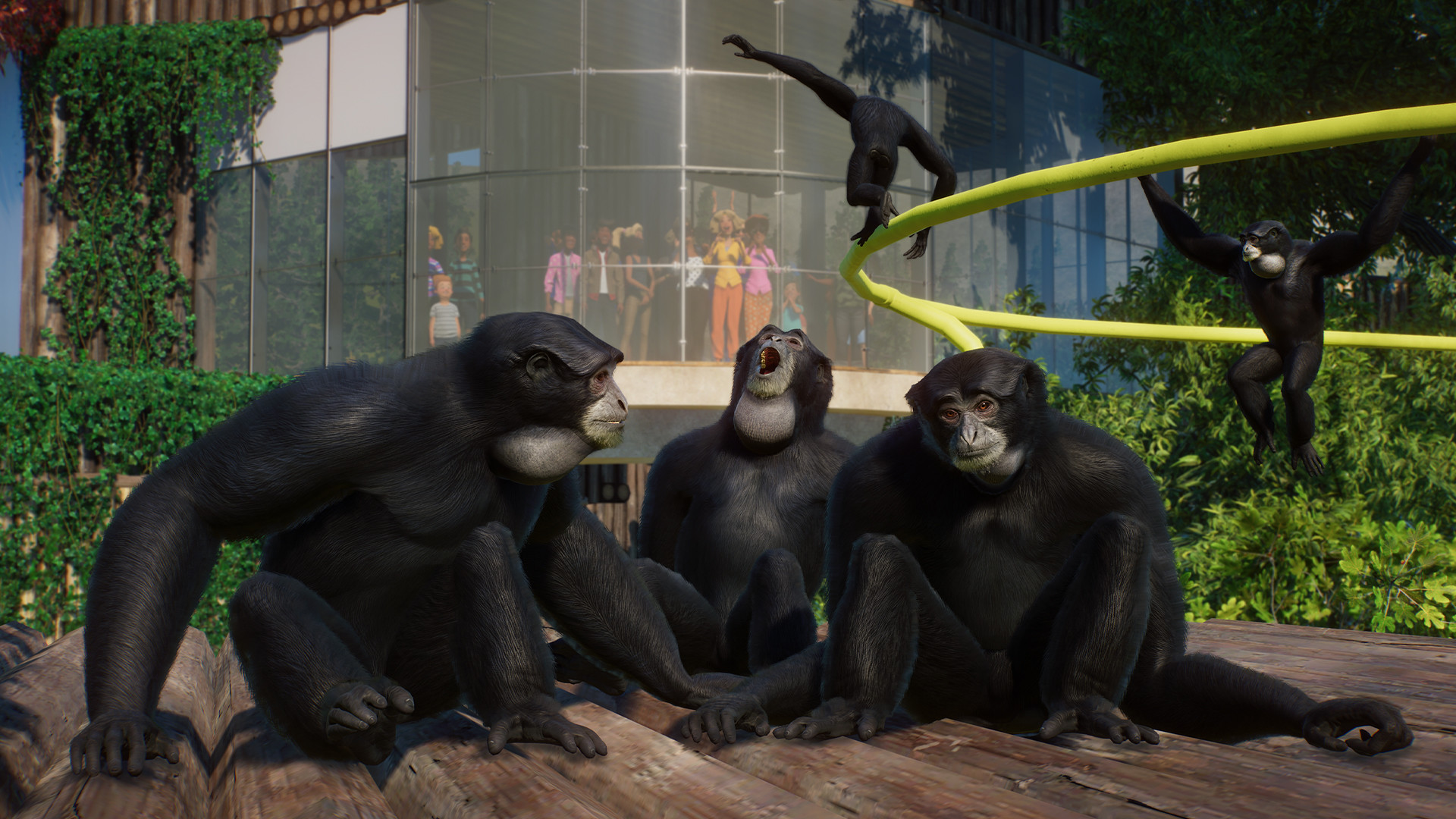 Planet Zoo: Conservation Pack DLC announced, adds Siamangs and more