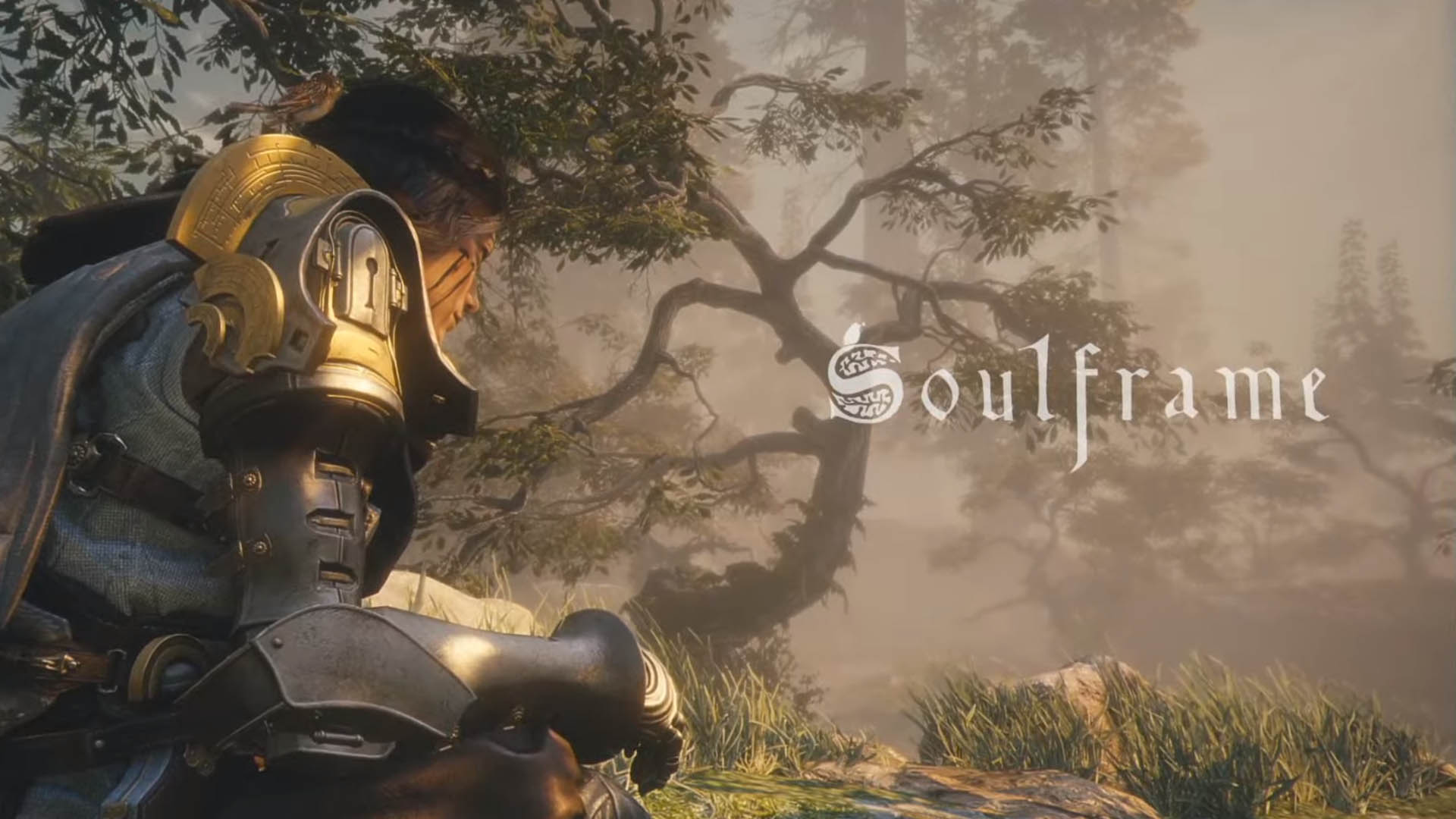 Digital Extremes shares first gameplay for F2P MMORPG Soulframe