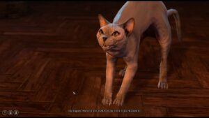 Baldur’s Gate 3 shaves cat after fans fall in love with a glitch
